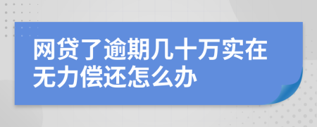 网贷了逾期几十万实在无力偿还怎么办