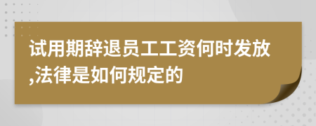 试用期辞退员工工资何时发放,法律是如何规定的
