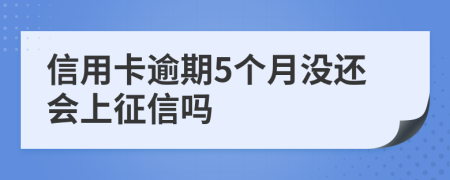 信用卡逾期5个月没还会上征信吗