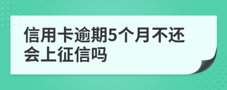 信用卡逾期5个月不还会上征信吗