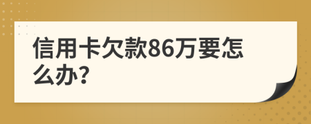 信用卡欠款86万要怎么办？