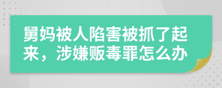 舅妈被人陷害被抓了起来，涉嫌贩毒罪怎么办