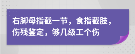 右脚母指截一节，食指截肢，伤残鉴定，够几级工个伤