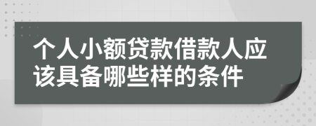 个人小额贷款借款人应该具备哪些样的条件