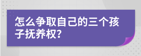 怎么争取自己的三个孩子抚养权？