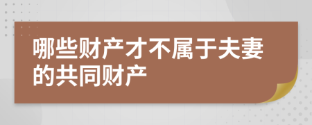 哪些财产才不属于夫妻的共同财产