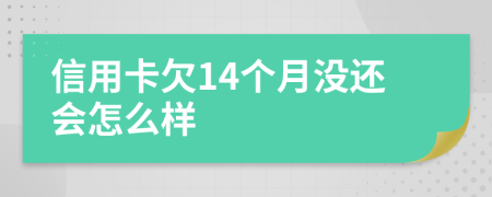 信用卡欠14个月没还会怎么样