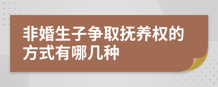 非婚生子争取抚养权的方式有哪几种