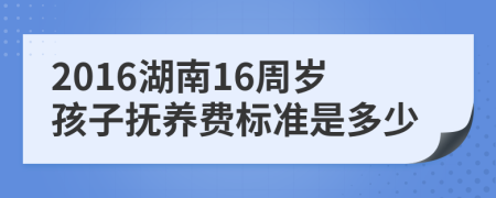 2016湖南16周岁孩子抚养费标准是多少