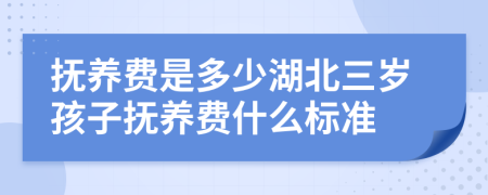 抚养费是多少湖北三岁孩子抚养费什么标准