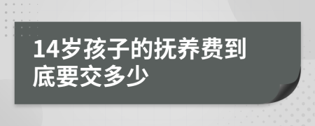 14岁孩子的抚养费到底要交多少