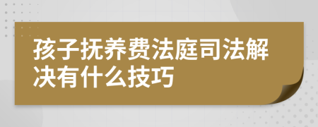 孩子抚养费法庭司法解决有什么技巧