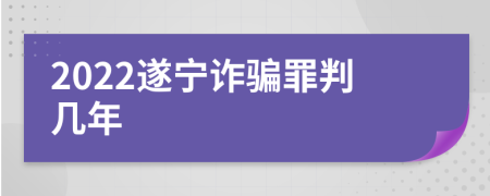 2022遂宁诈骗罪判几年