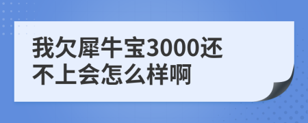 我欠犀牛宝3000还不上会怎么样啊