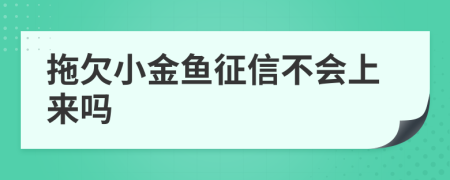 拖欠小金鱼征信不会上来吗