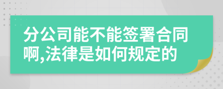 分公司能不能签署合同啊,法律是如何规定的