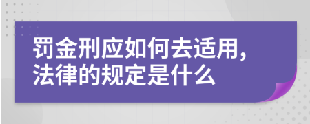 罚金刑应如何去适用,法律的规定是什么