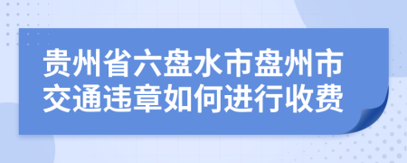 贵州省六盘水市盘州市交通违章如何进行收费