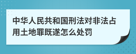 中华人民共和国刑法对非法占用土地罪既遂怎么处罚