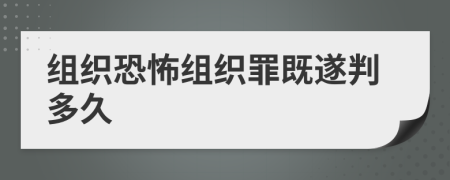 组织恐怖组织罪既遂判多久