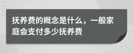 抚养费的概念是什么，一般家庭会支付多少抚养费