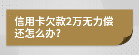 信用卡欠款2万无力偿还怎么办?