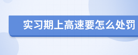 实习期上高速要怎么处罚