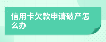 信用卡欠款申请破产怎么办