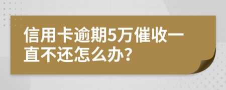 信用卡逾期5万催收一直不还怎么办？