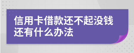 信用卡借款还不起没钱还有什么办法