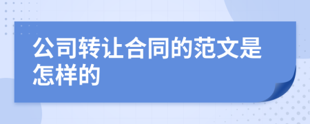 公司转让合同的范文是怎样的