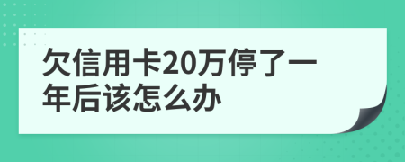 欠信用卡20万停了一年后该怎么办