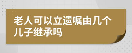 老人可以立遗嘱由几个儿子继承吗