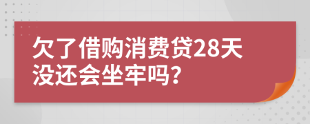 欠了借购消费贷28天没还会坐牢吗？