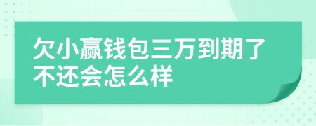 欠小赢钱包三万到期了不还会怎么样