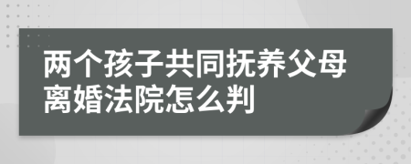 两个孩子共同抚养父母离婚法院怎么判