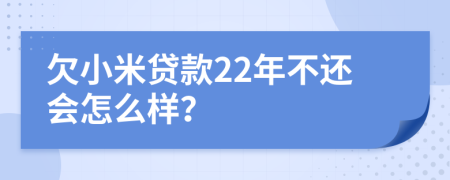 欠小米贷款22年不还会怎么样？