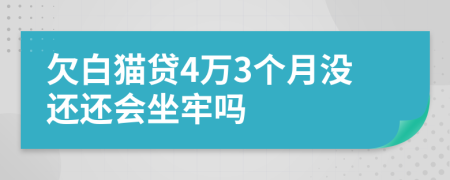 欠白猫贷4万3个月没还还会坐牢吗