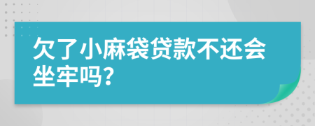 欠了小麻袋贷款不还会坐牢吗？