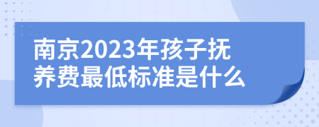 南京2023年孩子抚养费最低标准是什么