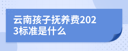 云南孩子抚养费2023标准是什么