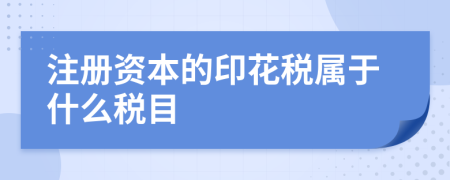 注册资本的印花税属于什么税目