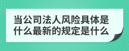 当公司法人风险具体是什么最新的规定是什么