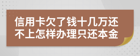 信用卡欠了钱十几万还不上怎样办理只还本金