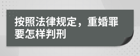 按照法律规定，重婚罪要怎样判刑