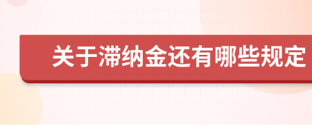 关于滞纳金还有哪些规定