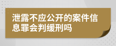 泄露不应公开的案件信息罪会判缓刑吗