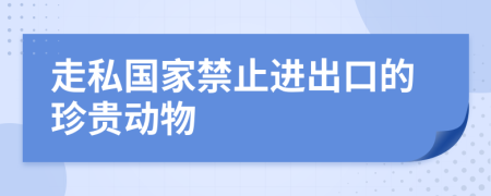 走私国家禁止进出口的珍贵动物