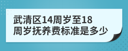 武清区14周岁至18周岁抚养费标准是多少