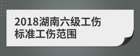 2018湖南六级工伤标准工伤范围